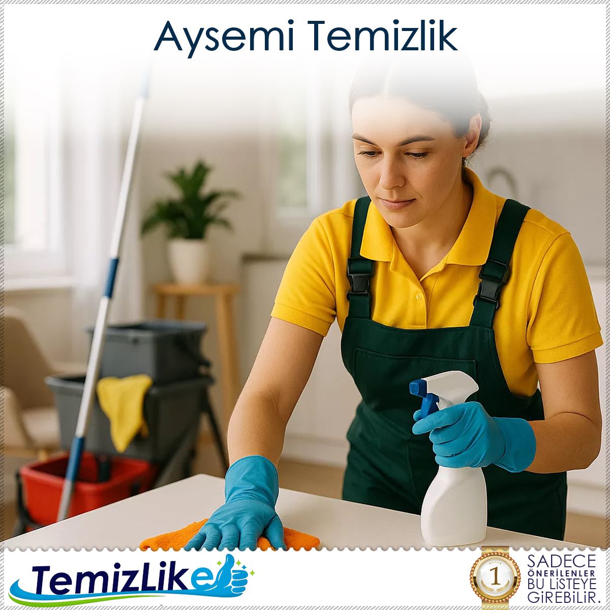 Aysemi Temizlik