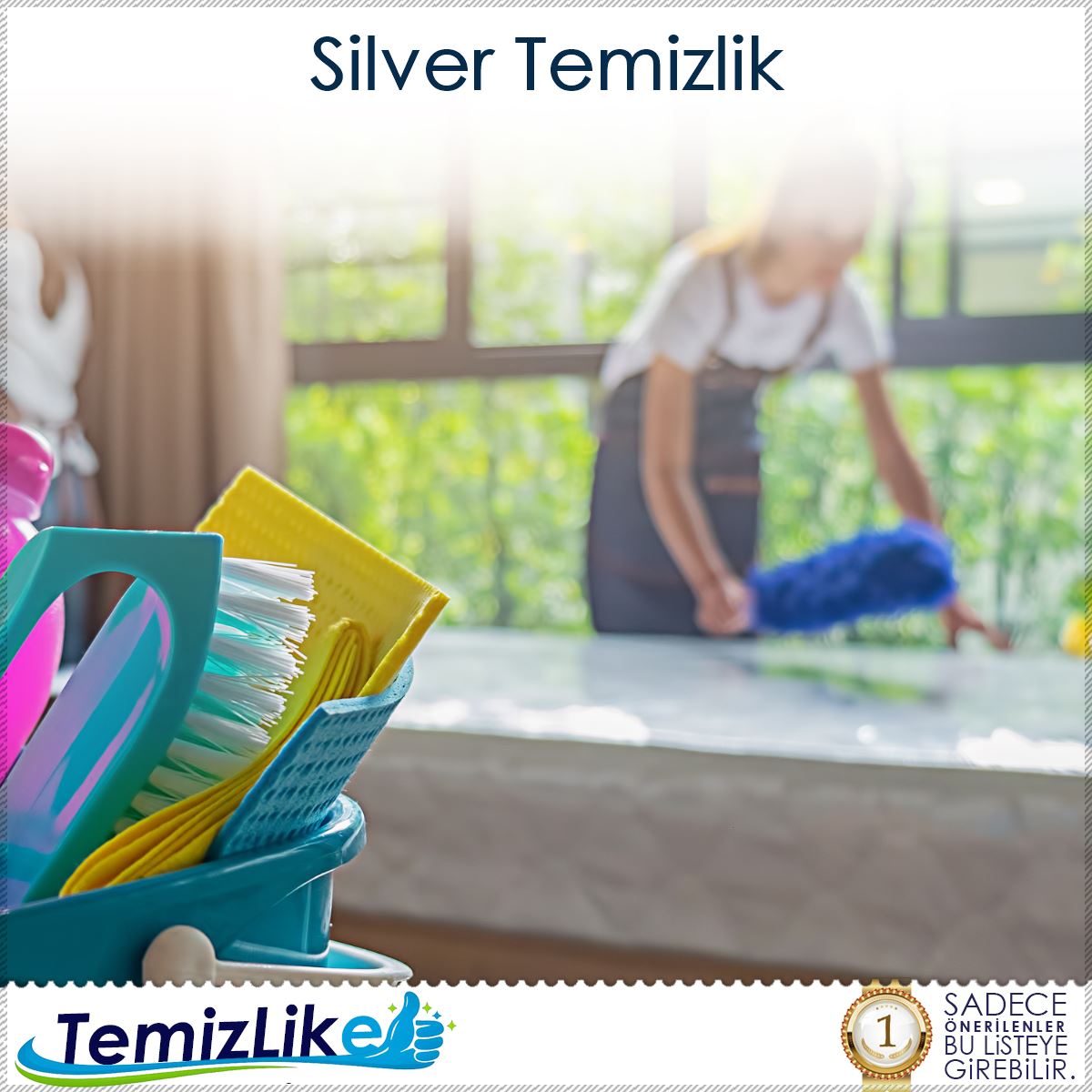 Silver Temizlik
