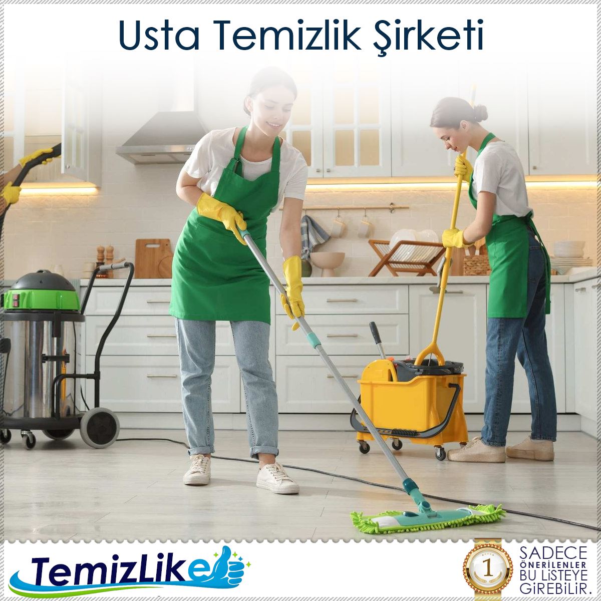 Usta Temizlik Şirketi