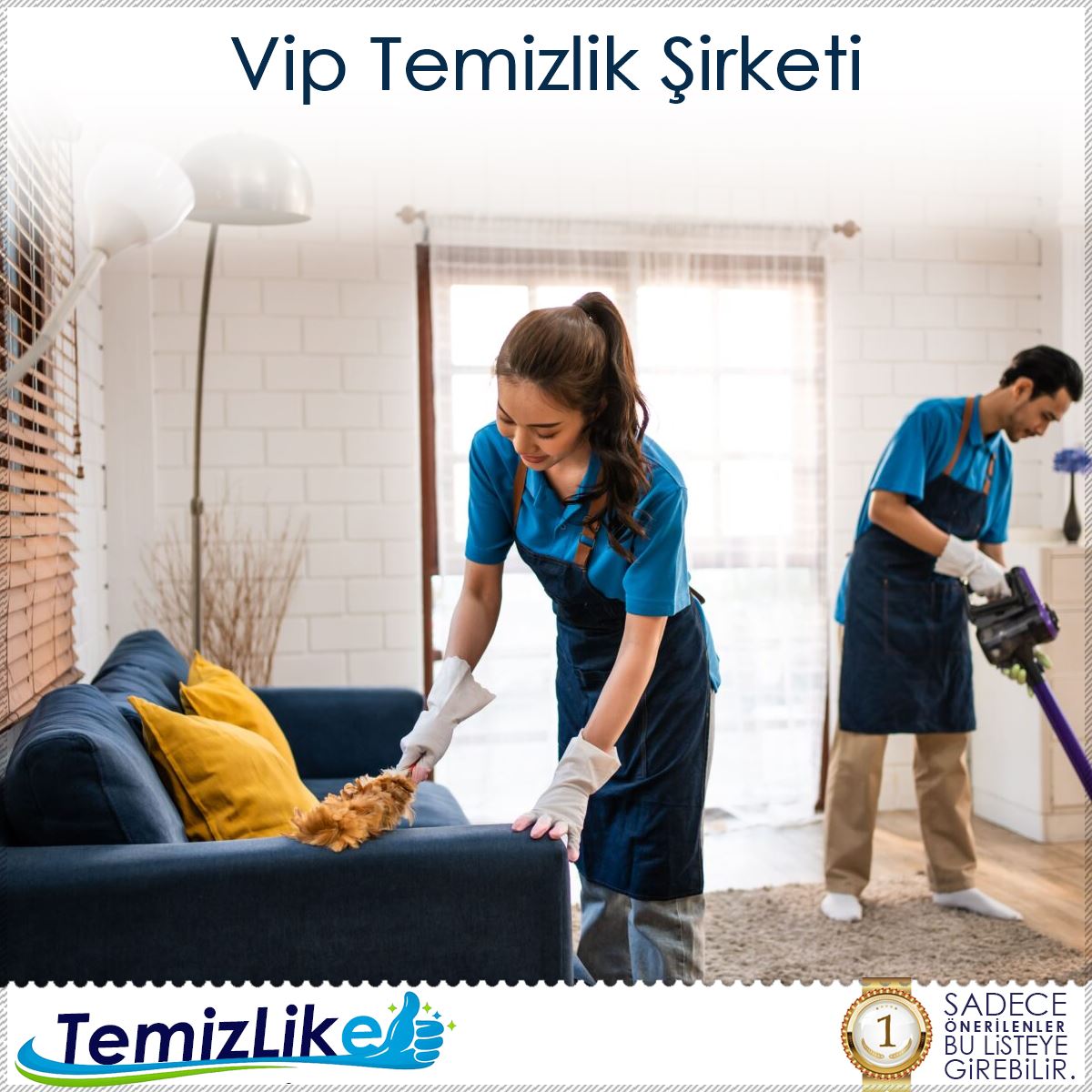 Vip Temizlik Şirketi