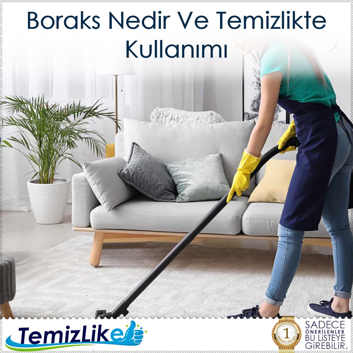 Boraks Nedir Ve Temizlikte Kullanımı