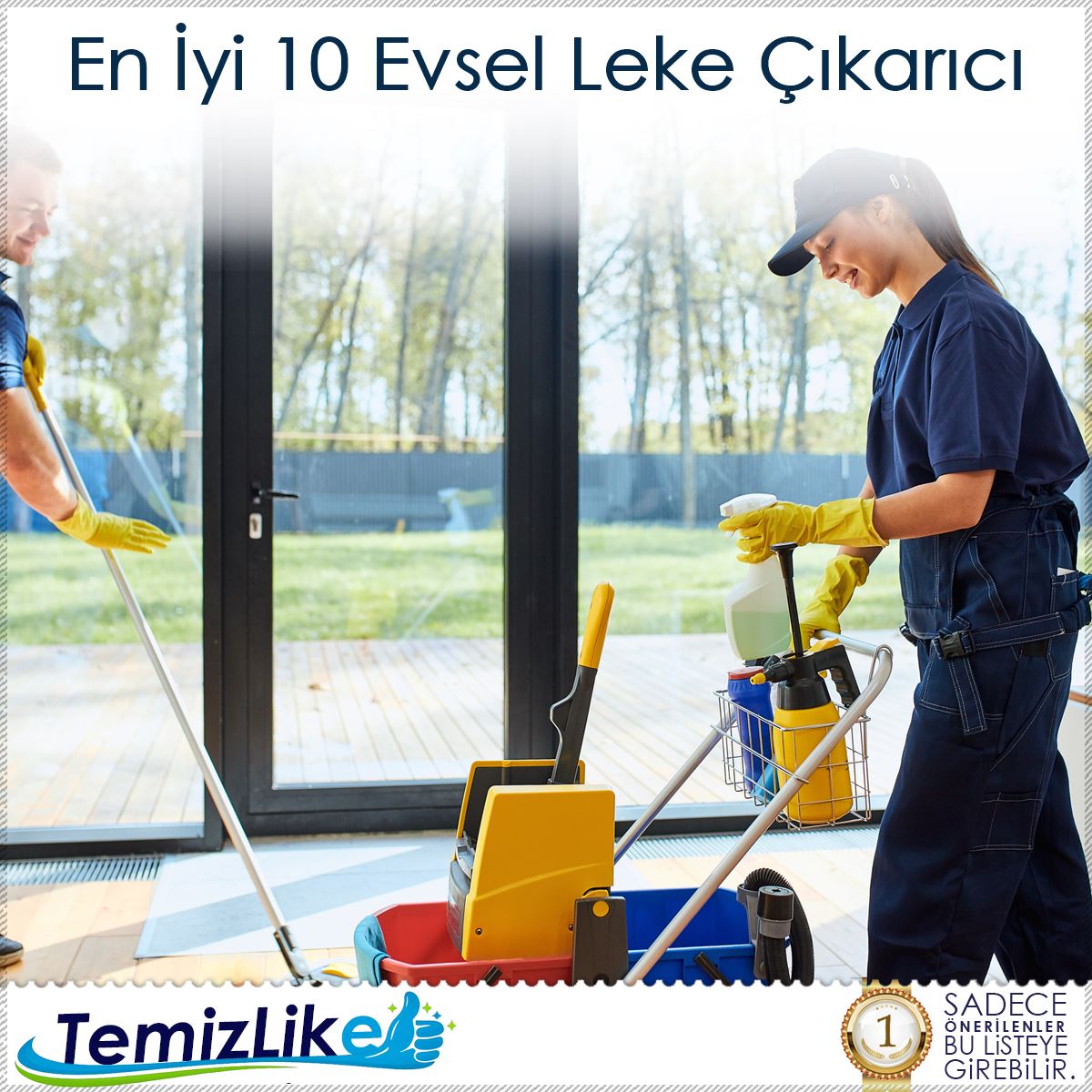 En İyi 10 Evsel Leke Çıkarıcı : Kapak Görseli