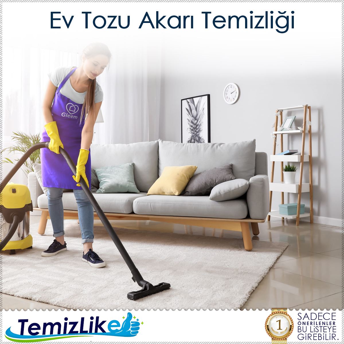 Ev Tozu Akarı Temizliği