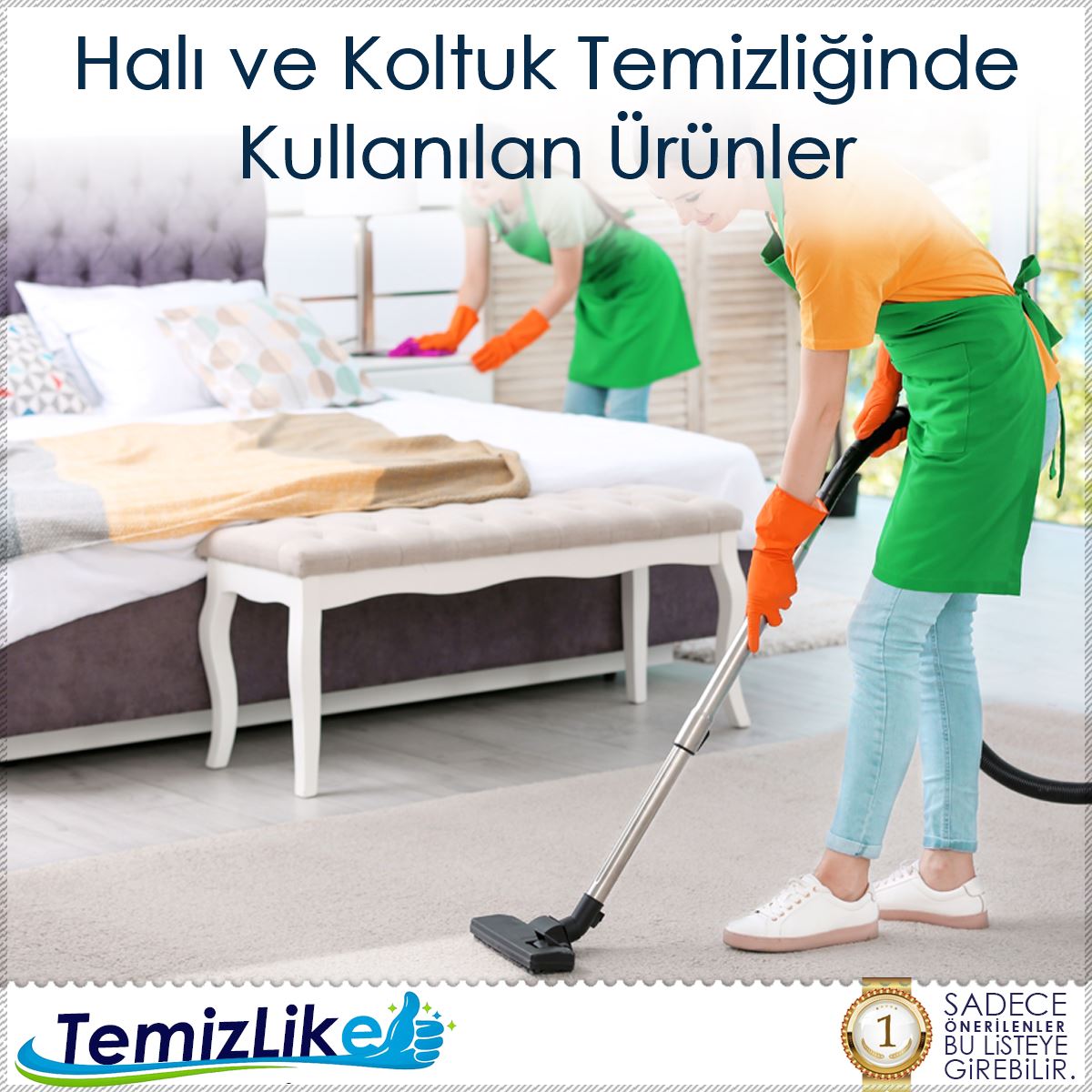 Halı ve Koltuk Temizliğinde Kullanılan Ürünler